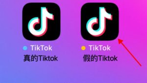 海外抖音搭建：TikTok 新开发TikTok抖音正版数据同步