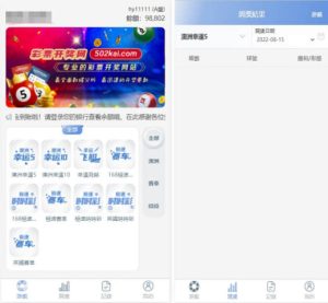 网站彩票 仿双赢 仿迪士尼系统