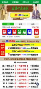 澳门六合彩心水论坛