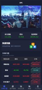 🖼 2025修复 微盘黄金原油货币外汇单语言 #微盘 #黄金 #白银 #原油 #外汇 #时间盘 #投资