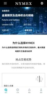 🖼 海外微交易系统/虚拟币外汇交易/PC微盘/多语言微盘