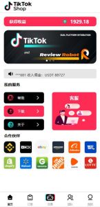 🖼 2025多语言tiktok抢单_海外tiktok刷单_分组_打针_前端vue