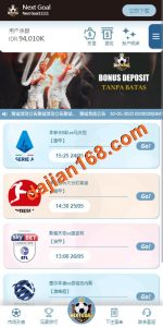 🖼 PC自适应反波胆系统/球盘源码/多级分销/充值返点