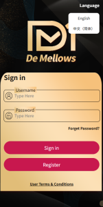 抢单刷单系统搭建指南：功能模块详解与运营要点