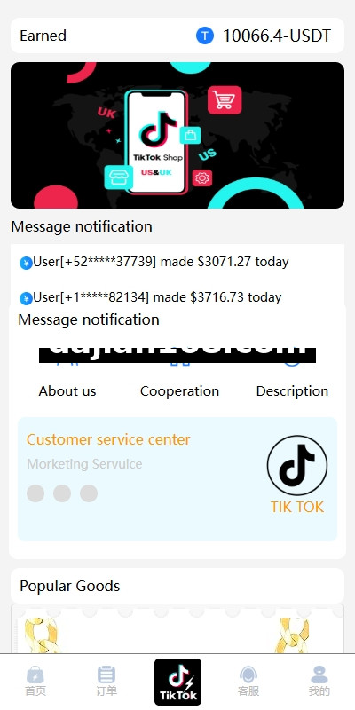 海外TIKTOK抢单刷单系统/多语言刷单/打针/重置订单