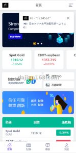 【系统】运营版微交易系统/日本微盘/多语言虚拟币微盘系统