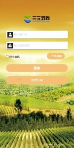 跨境电商系统源码搭建实录：多语言商城+支付+物流对接