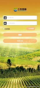 核心功能拆解：从投资下单到分红结算的完整闭环
